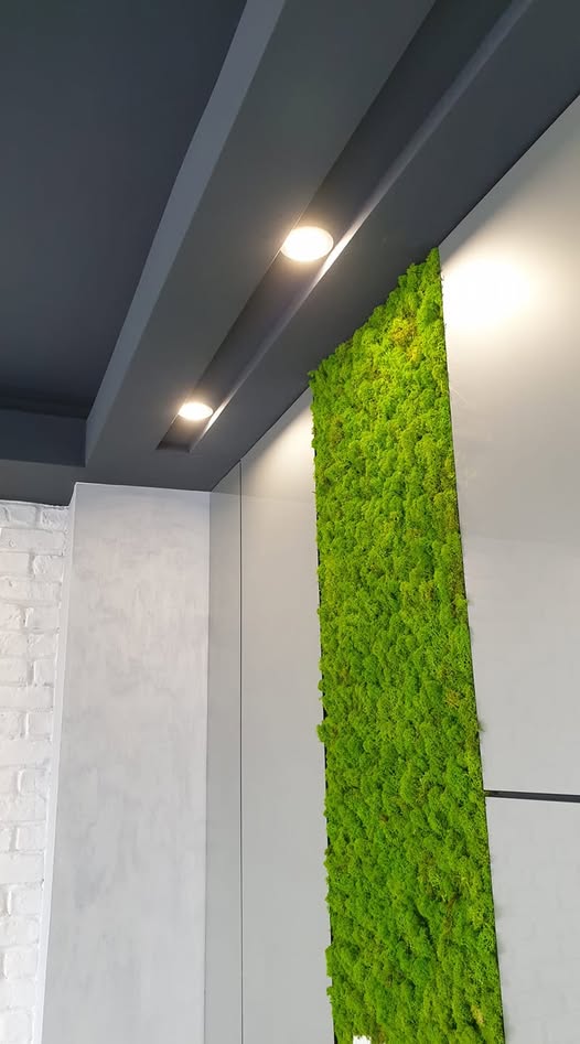 CustomEnergy - Showroom & Finisaje